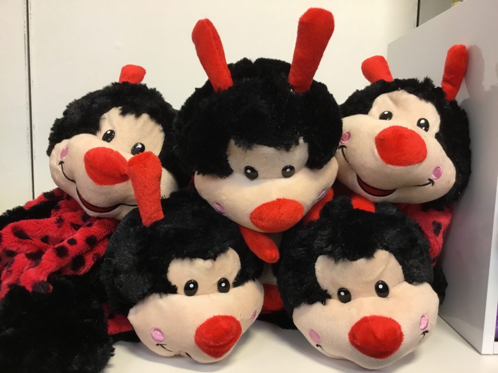 Lady Bug Teddy Bears for Novelty item giveaway to guests a